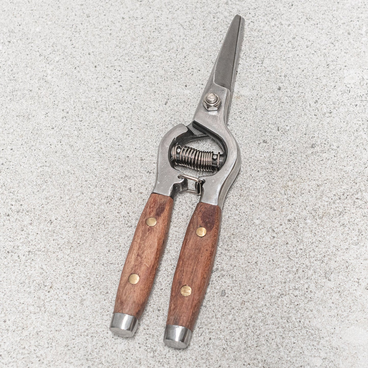 Flower Snips with Brass Pins