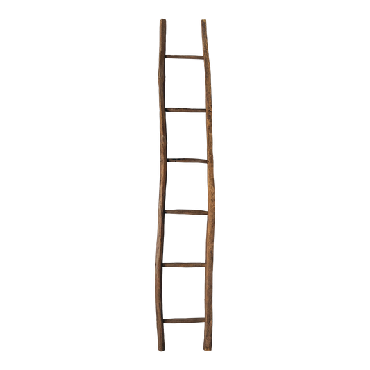 Late 19th Century Rustic Handmade Ladder